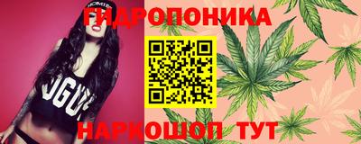 трава Шебекино