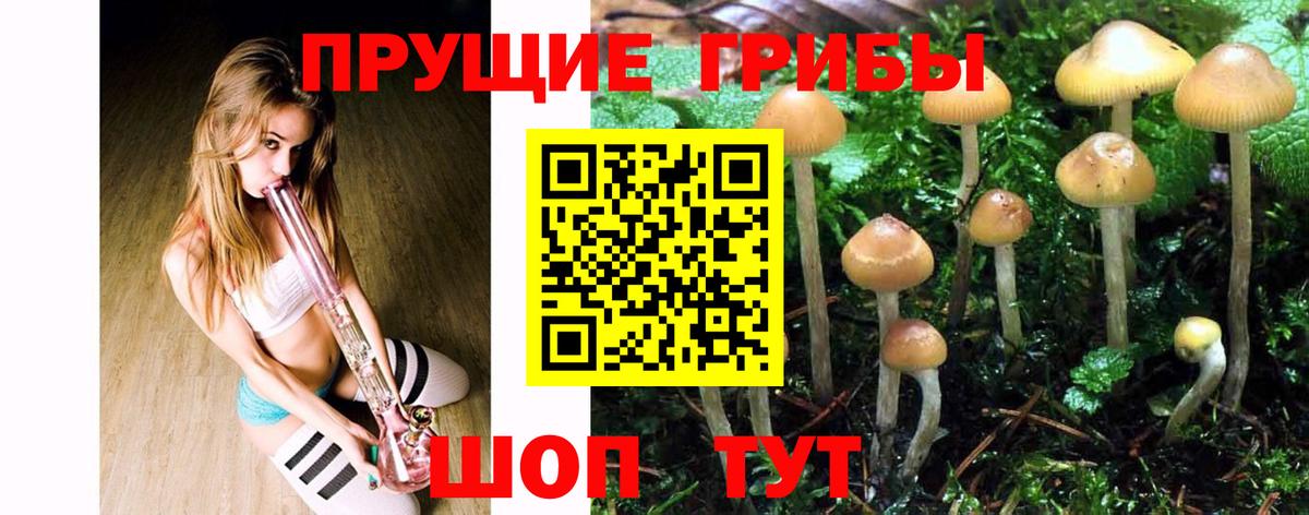 Галлюциногенные грибы MAGIC MUSHROOMS  закладки  Алушта  Вход с VPN  Псилоцибиновые грибы мицелий 